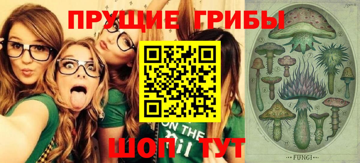 Псилоцибиновые грибы прущие грибы Ангарск